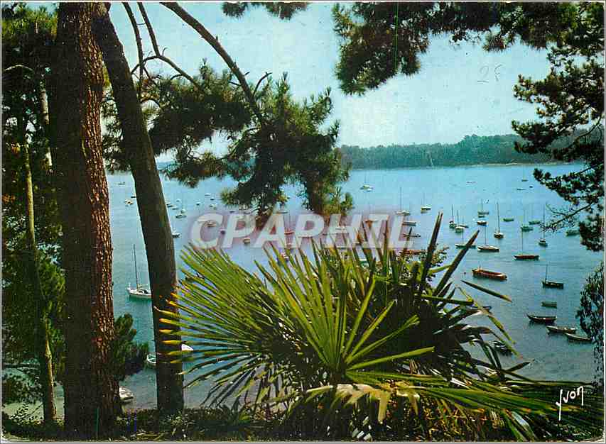 CPM La Bretagne Dinard Ille et Vilaine Vue sur la Baie de la Rance 