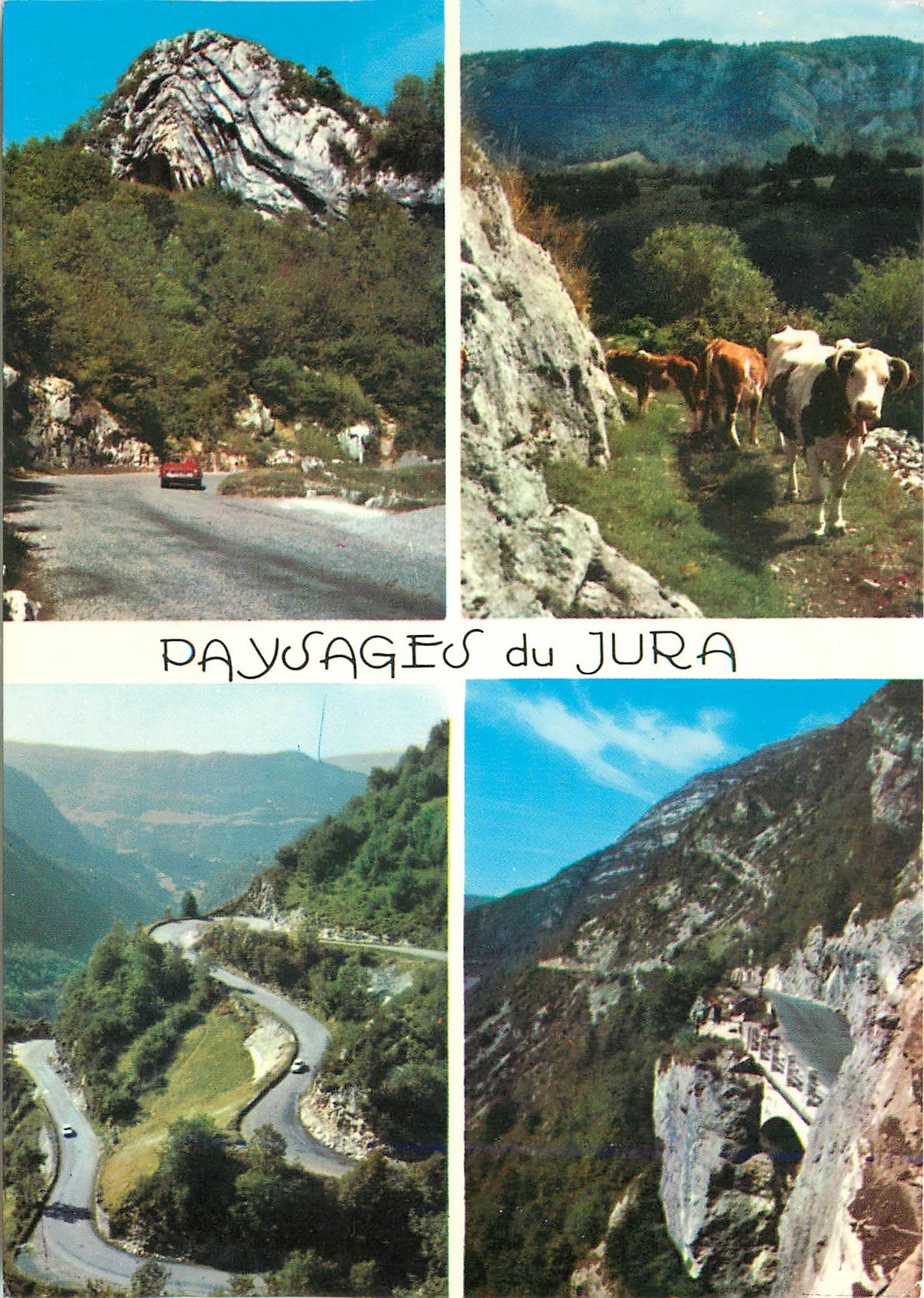 CPM Paysages du Jura Le chapeau du gendarme Retour des troupeaux Les lacets de Septmoncel Le saut du