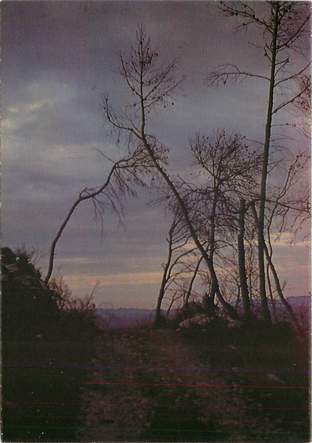 CPM Paysage de Tempete en Novembre 