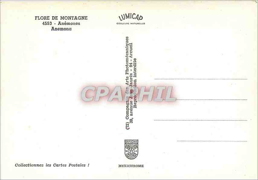 CPM Flore de Montagne Anemones Anemona  — Back