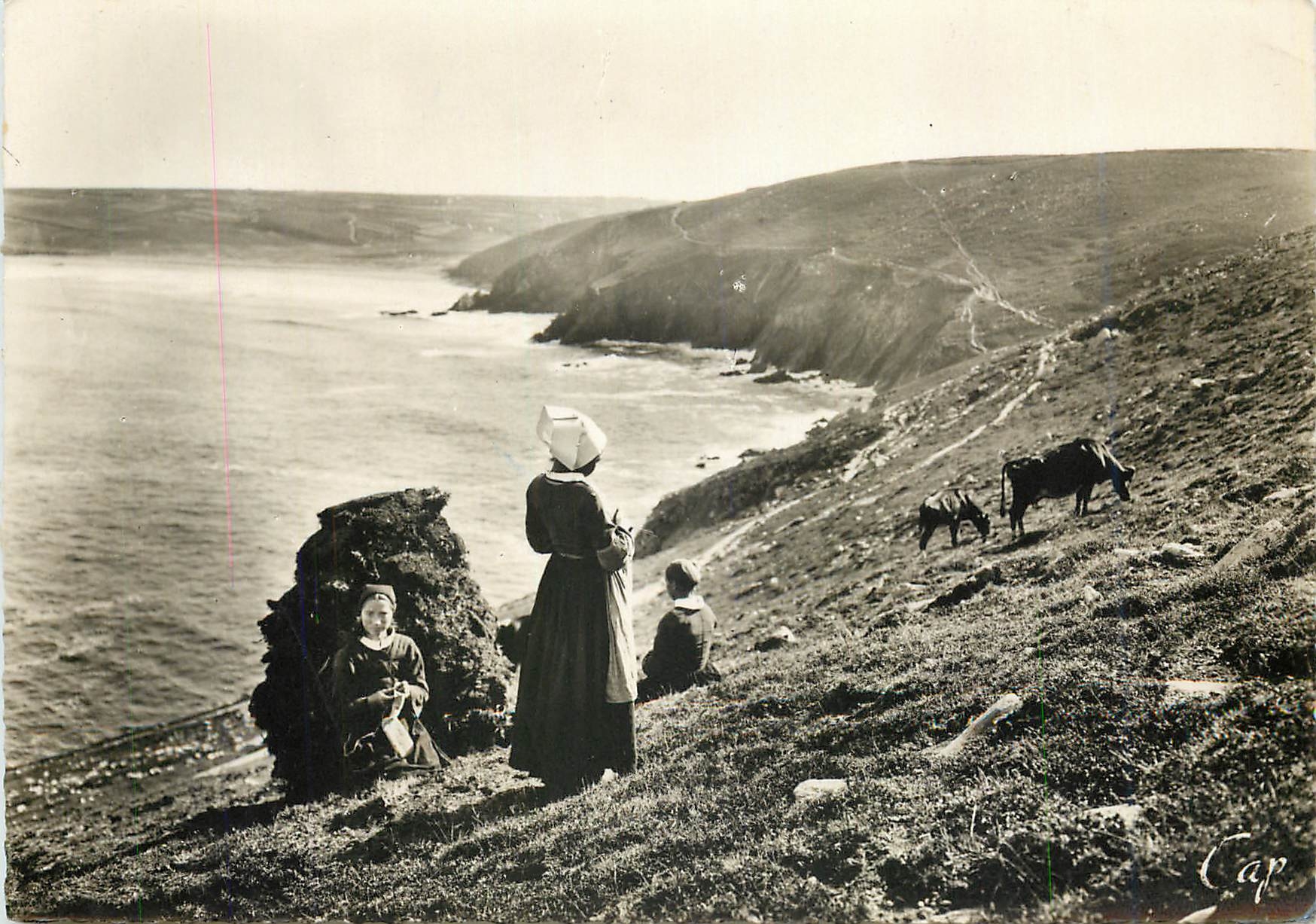 CPM Scenes et Types Bretons Tricoteuses a la Pointe du Raz et Baie des Trepasses 