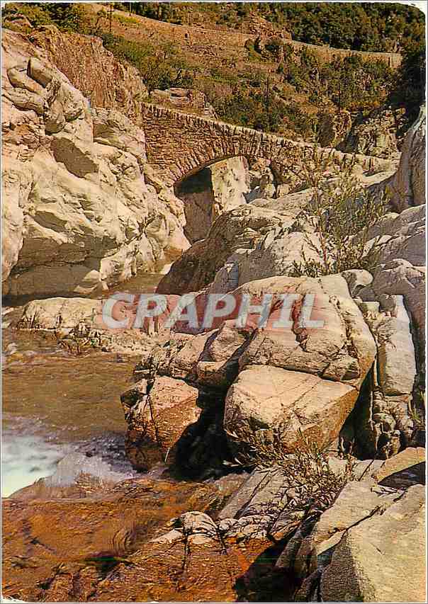 CPM Le Pas de Soucy entre Saint Jean du Gard et l'Estrechure Pont sur le Gardon 