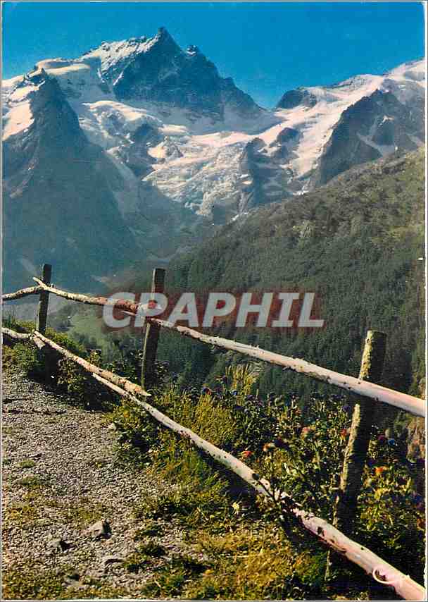 CPM Les Alpes Francaises La Meije 