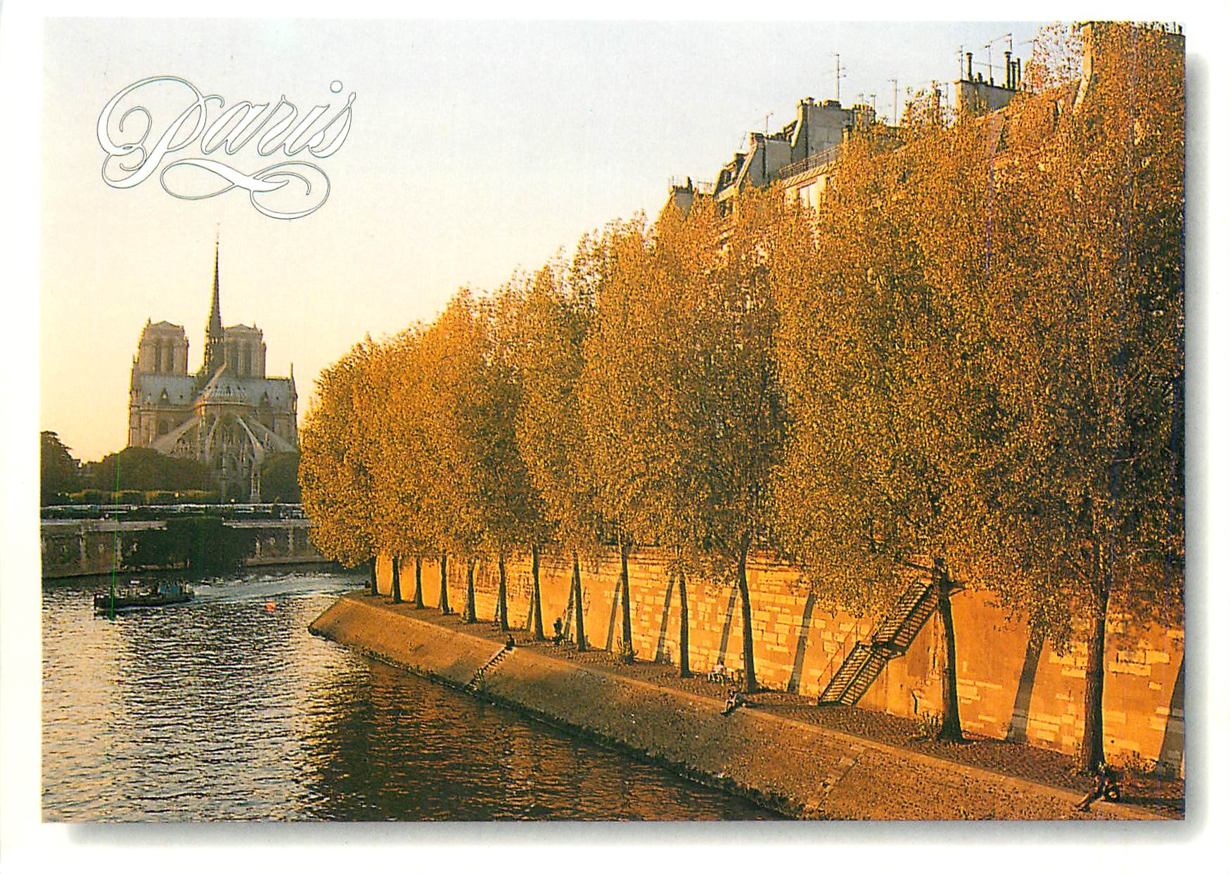 CPM Paris Notre Dame vue de l'Ile Saint Louis 