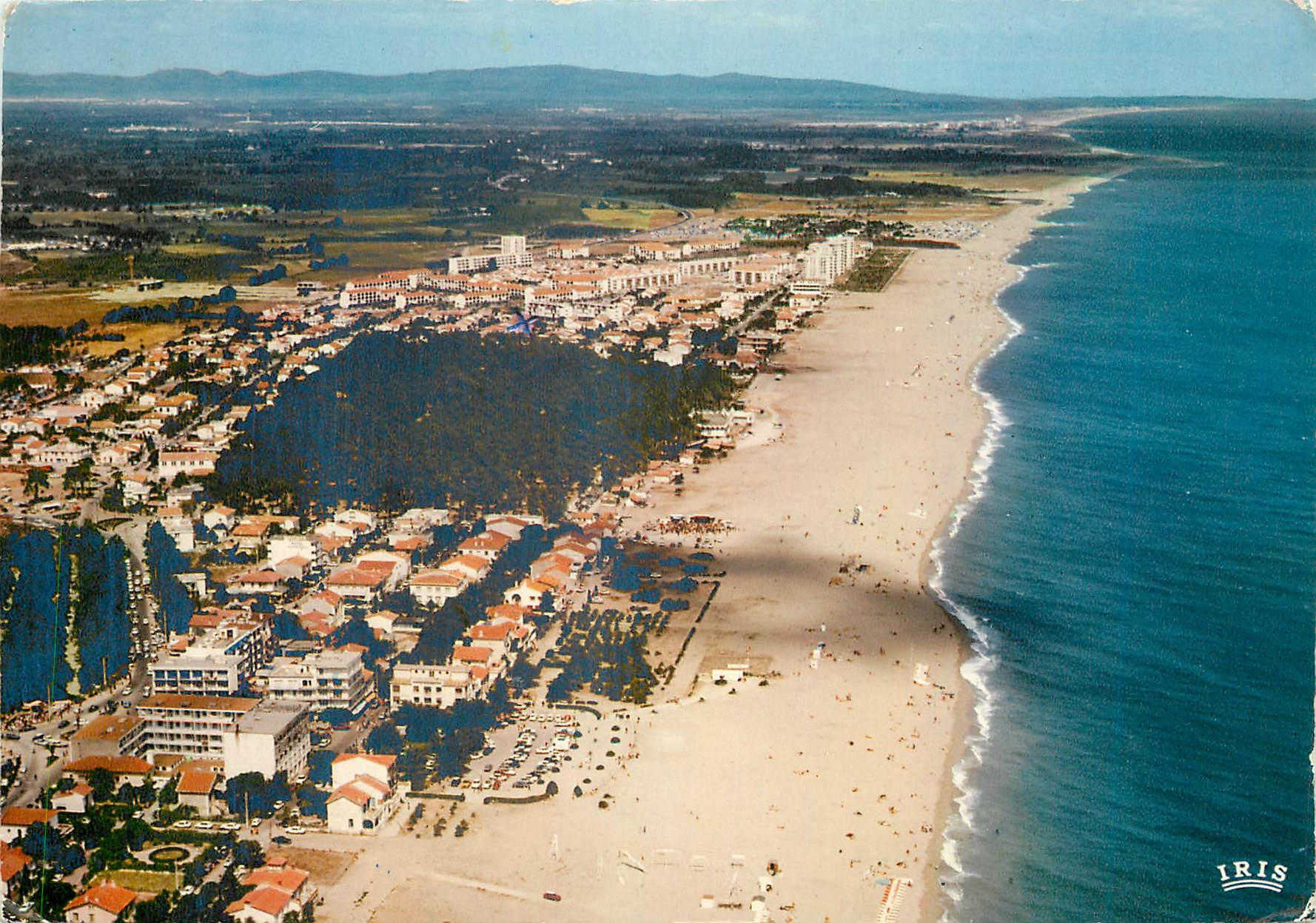 CPM La Cote Catalane Argeles sur Mer vu du ciel la plage et la foret de pins