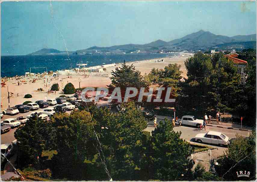 CPM La Cote Catalane Argeles sur Mer La Plage des Alberes