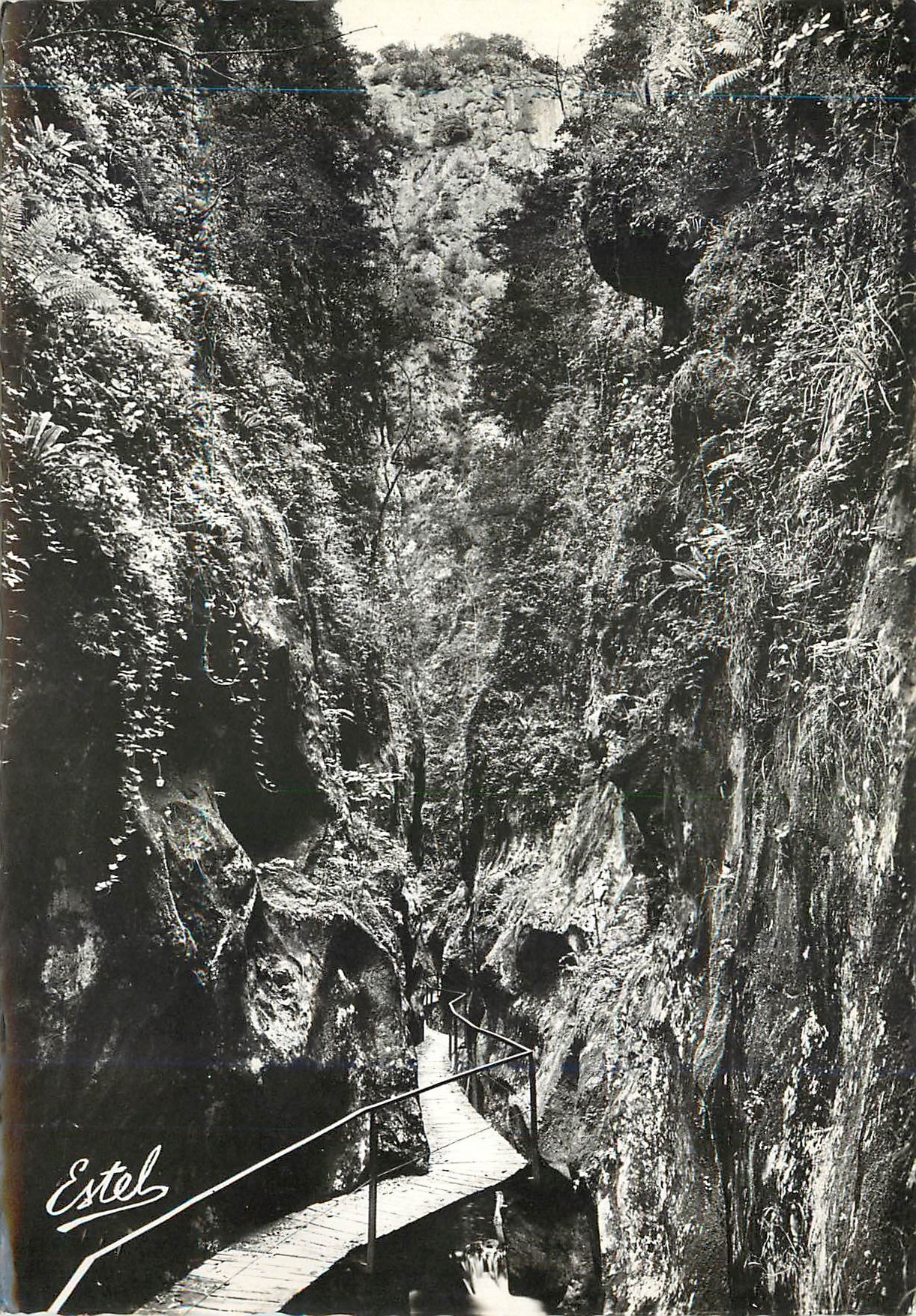 CPM Arles sur Tch les Gorges de la Fou