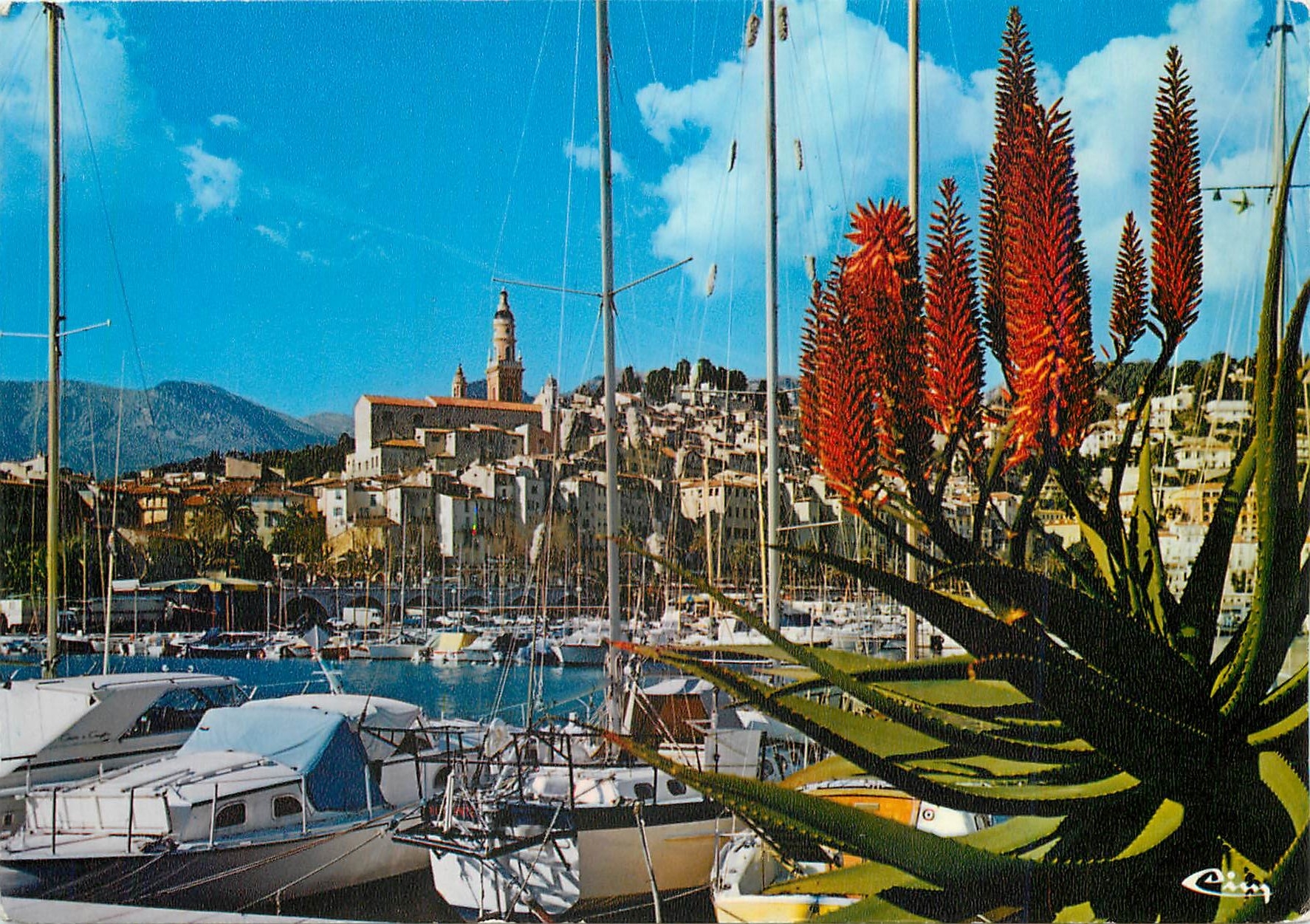 CPM Menton (Alpes Maritimes) Le Vieux port