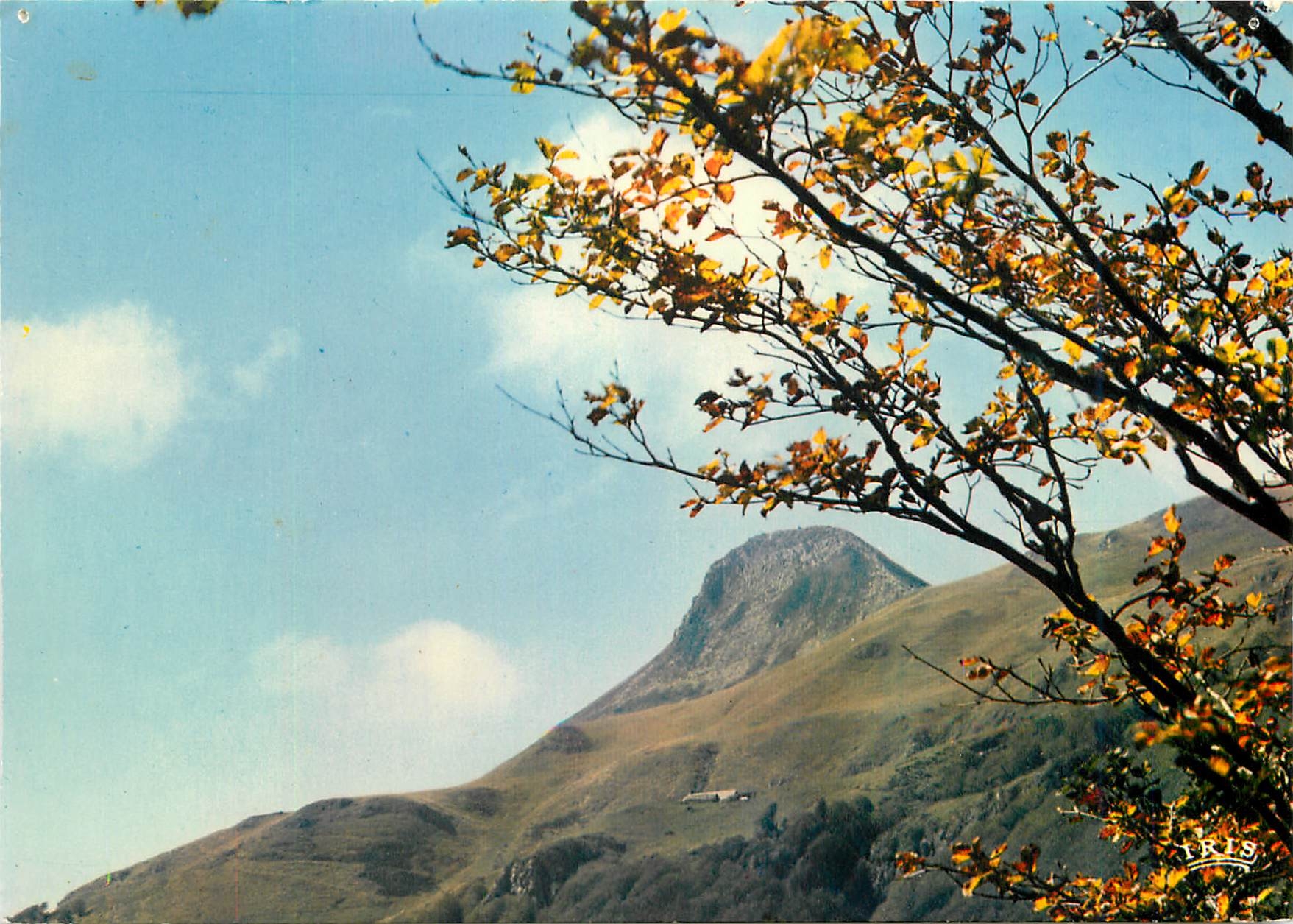 CPM En Auvergne Paysage d'Automne