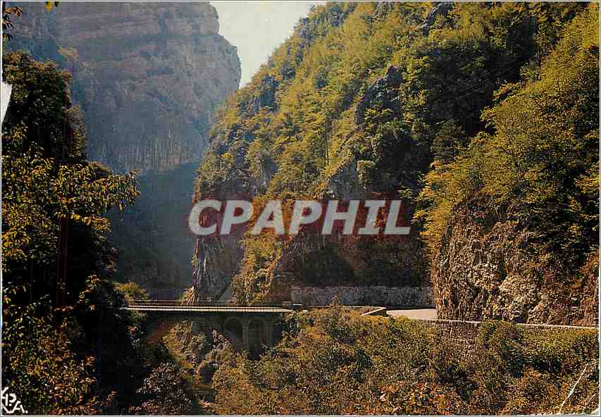 CPM Au Soleil de la Cote d'Azur les Gorges du Loup le pont du Loup