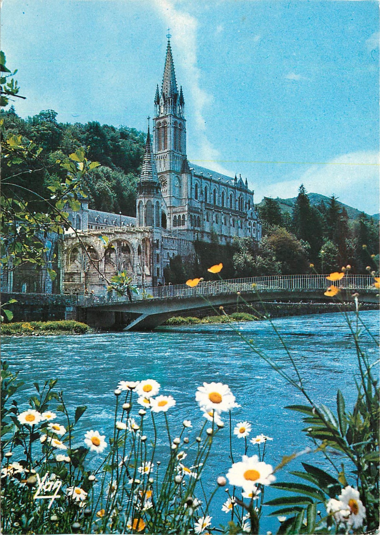 CPM Lourdes Lourdes la Basilique et la Gave de Pau