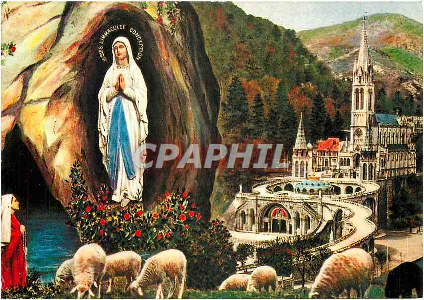 CPM Lourdes La Basilique et l'Apparition