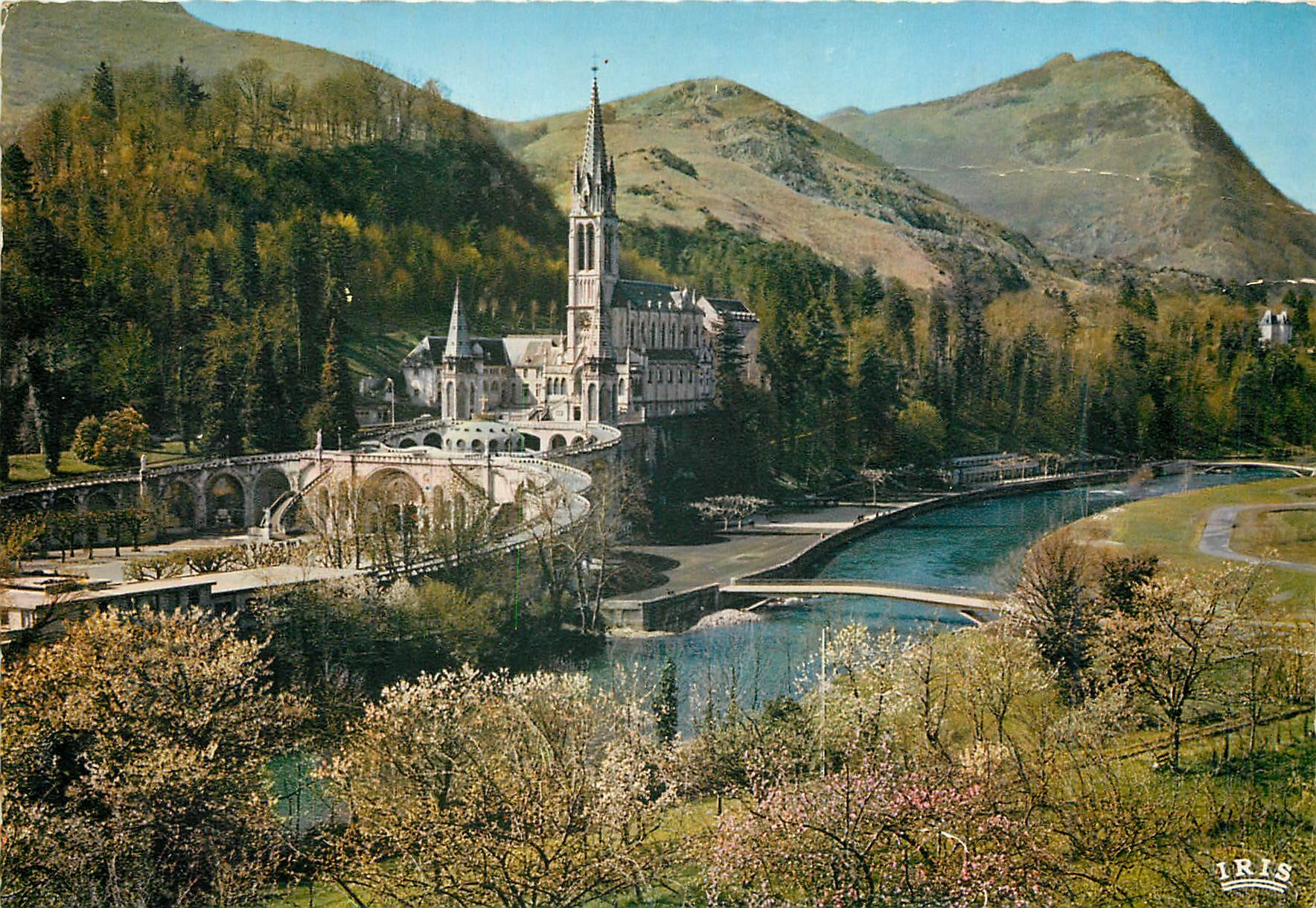 CPM Lourdes (H P) La Basilique le Gave et les nouveaux Ponts inaugures le 25 Mars 1966