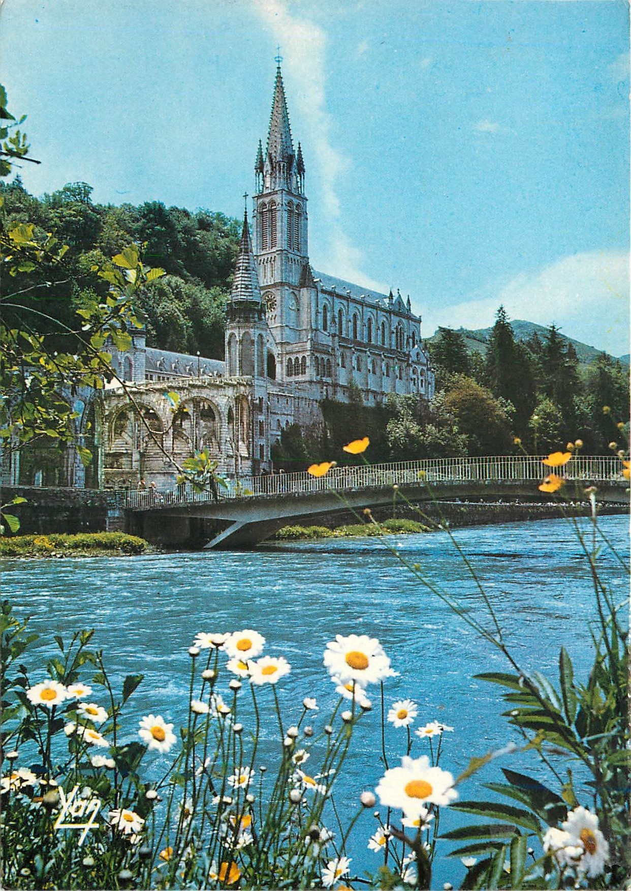 CPM Lourdes (H P) La Basilique et la Gave de Pau