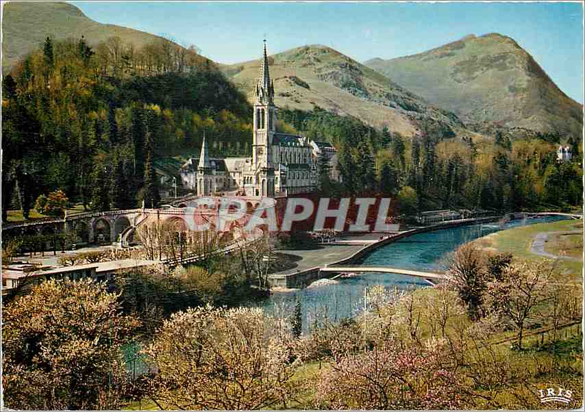 CPM Lourdes La Basilique Le Gave et les nouveaux Ponts 