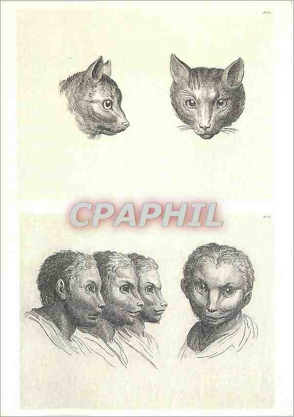 CPM Andre Legrand Deux tetes de chat et quatre tetes d'hommer en relation avec le chat 