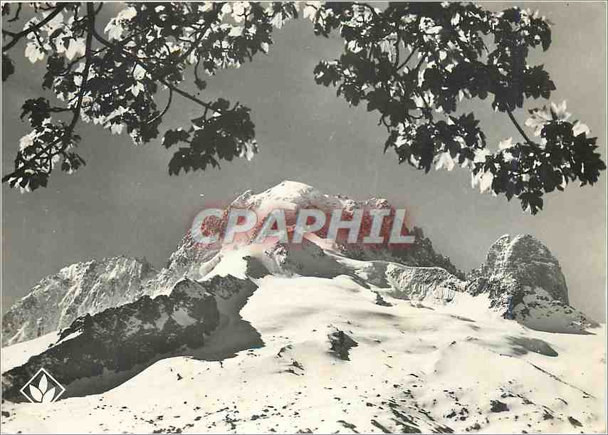 CPM Les Alpes vues par P Tairraz 