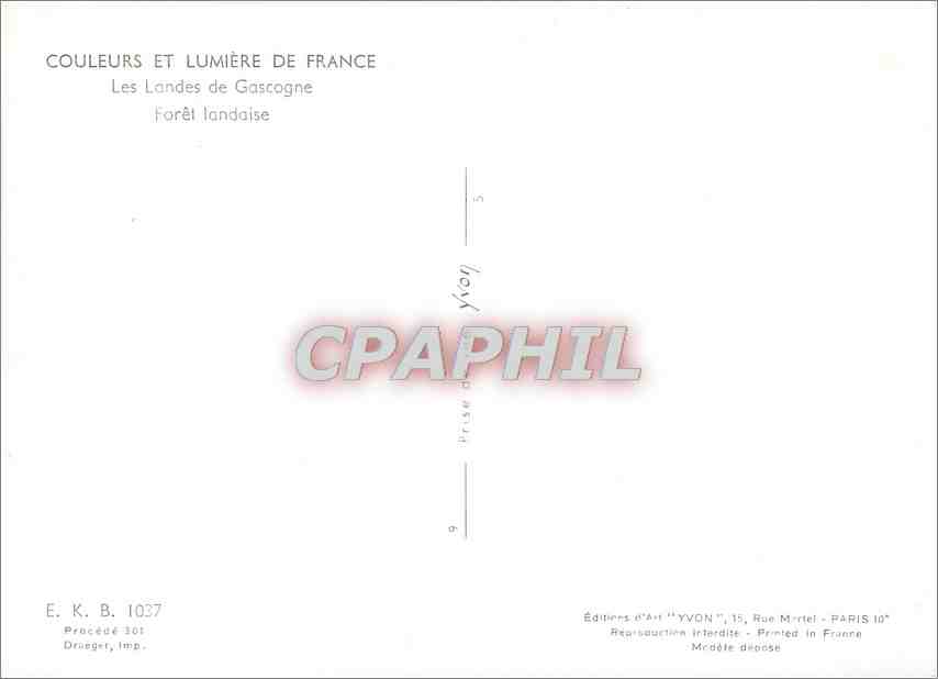 CPM Couleurs et Lumiere de France Les Landes de Gascogne Foret Landaise  — Rückseite