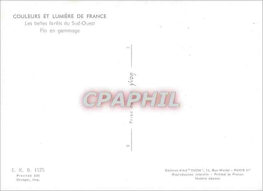 CPM Couleurs et Lumiere de France Les belles forets du Sud Ouest Pin en gemmage  — Back