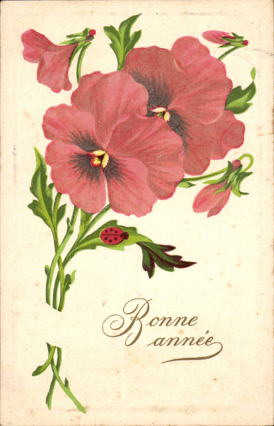 CPA Fantaisie Bonne annee (coccinnelle)