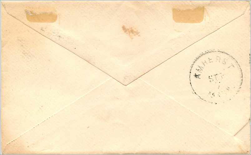 Lettre Cover Etats-Unis 3c New York 1883 — Verso