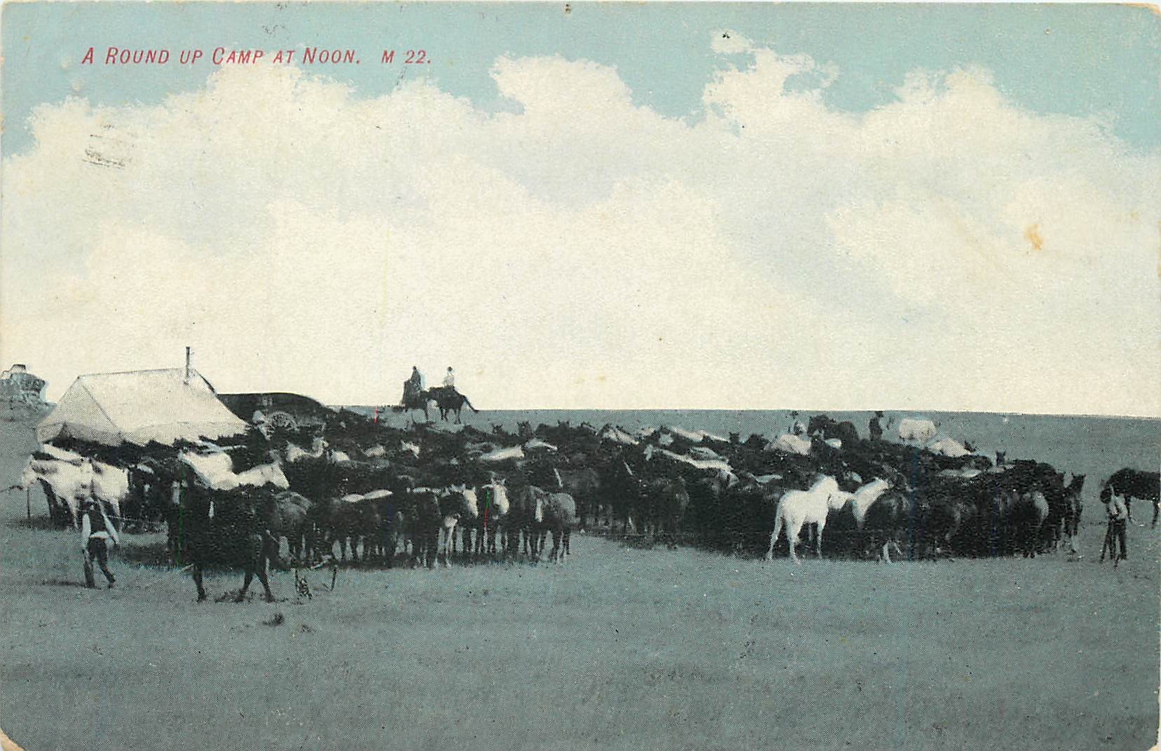 CPA A round up Camp at noon Chevaux