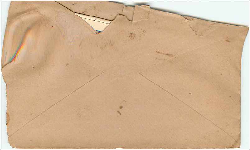 Lettre Cover Etats-Unis 2c New York 1884 Fruits — Back