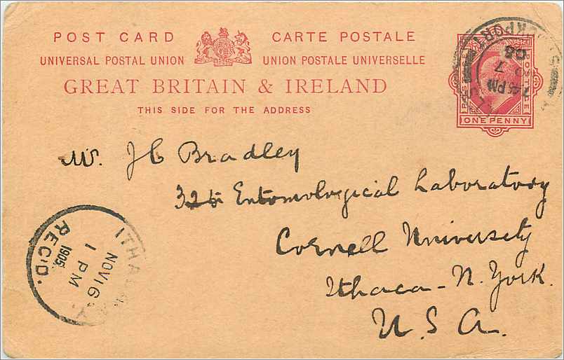 Entier Postal Stationary 1p  Stockport for USA 1905