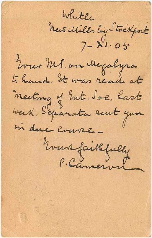 Entier Postal Stationary 1p  Stockport for USA 1905 — Verso