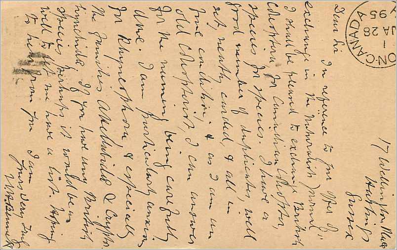 Entier Postal Postal Stationary Grande Bretagne Great Britain Hastings to Ontario Hamilton — Verso