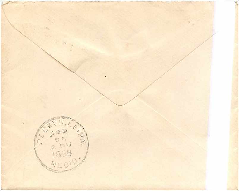 Lettre Cover Etats-Unis 2c Wimmers cover 1899 — Rückseite