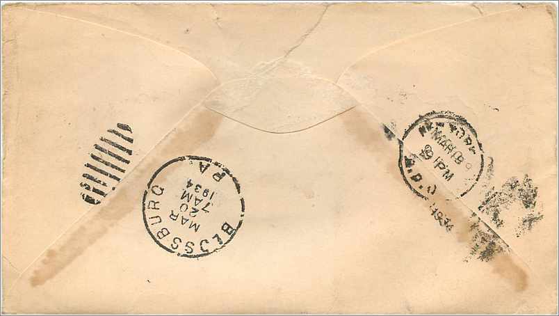 Lettre Cover Etats-Unis 10c + 3c Special delivery New York to Blossburg 1919 — Rückseite