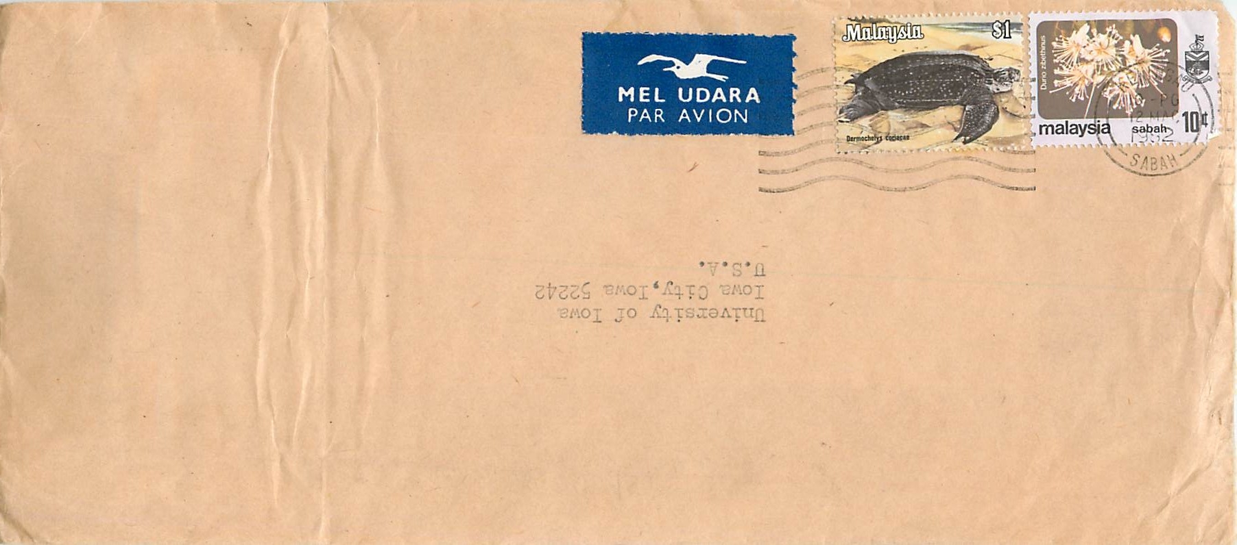 Lettre Cover Malaysia Malaisie Tortue Turtle University Iowa City 