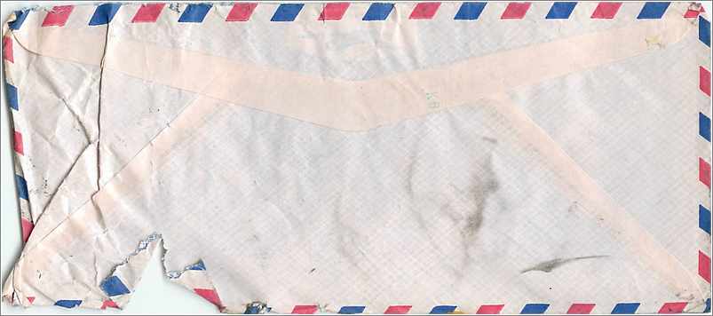 Lettre Cover Malaisie Tortue Turtle University Iowa Tigre Tiger — Rückseite