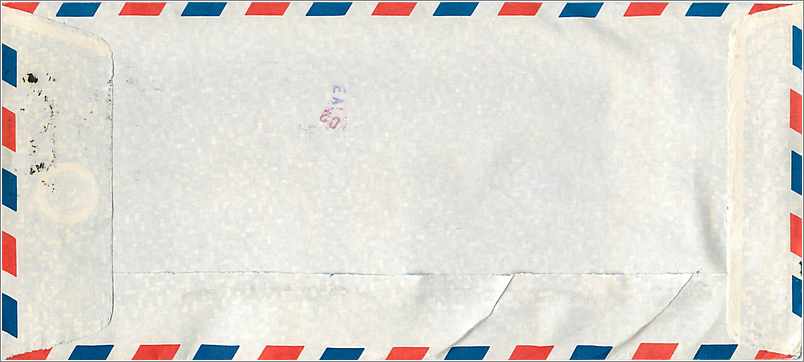 Lettre Cover for University of Iowa Malaysia Turtle — Rückseite