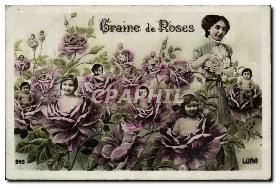 Fantaisie - Enfant - Graine de Roses - bebe - CPA 