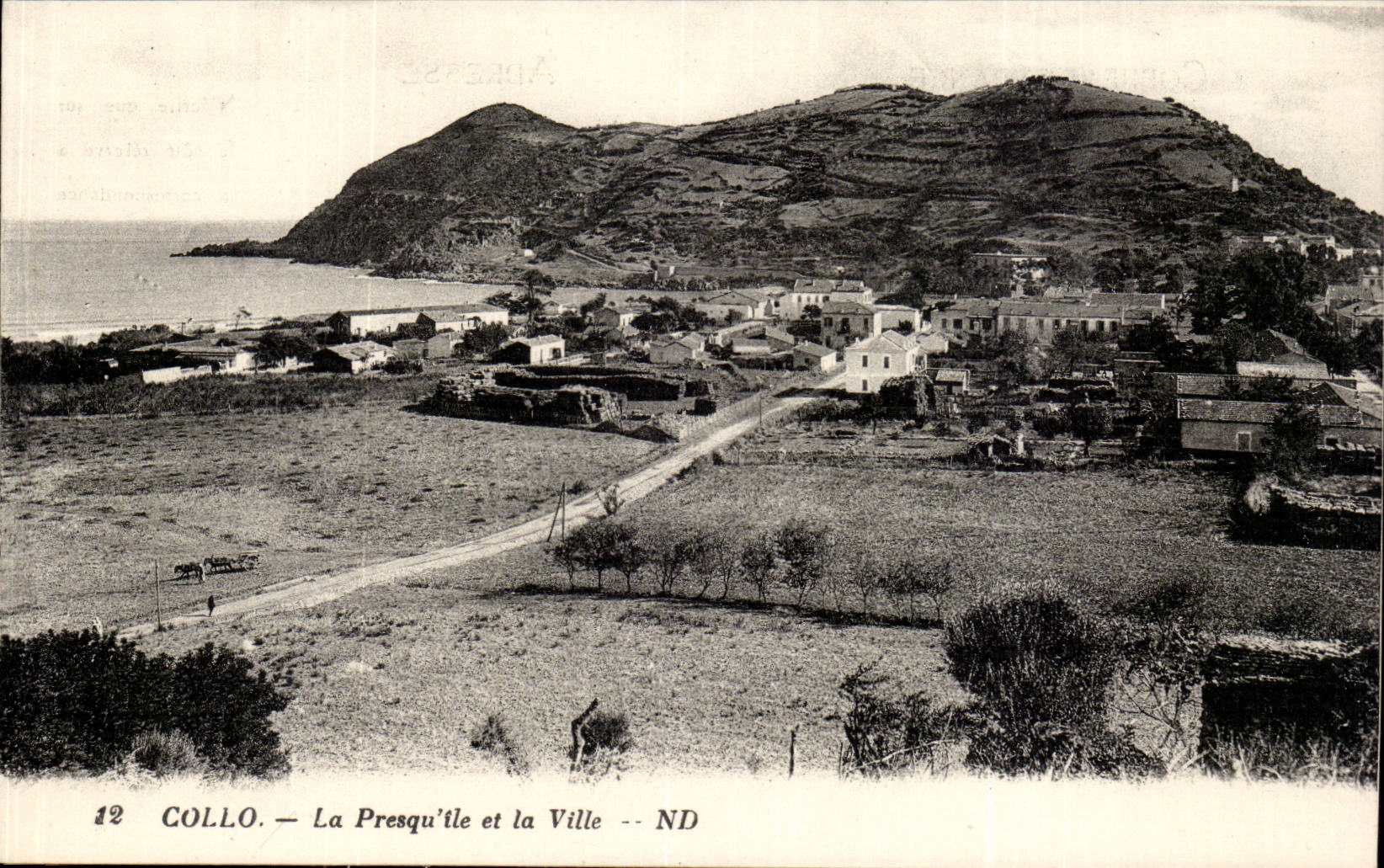 Afrique - Africa - Algerie - Algeria - Collo - Chullo - La Presqu'ile et la Ville - CPA 