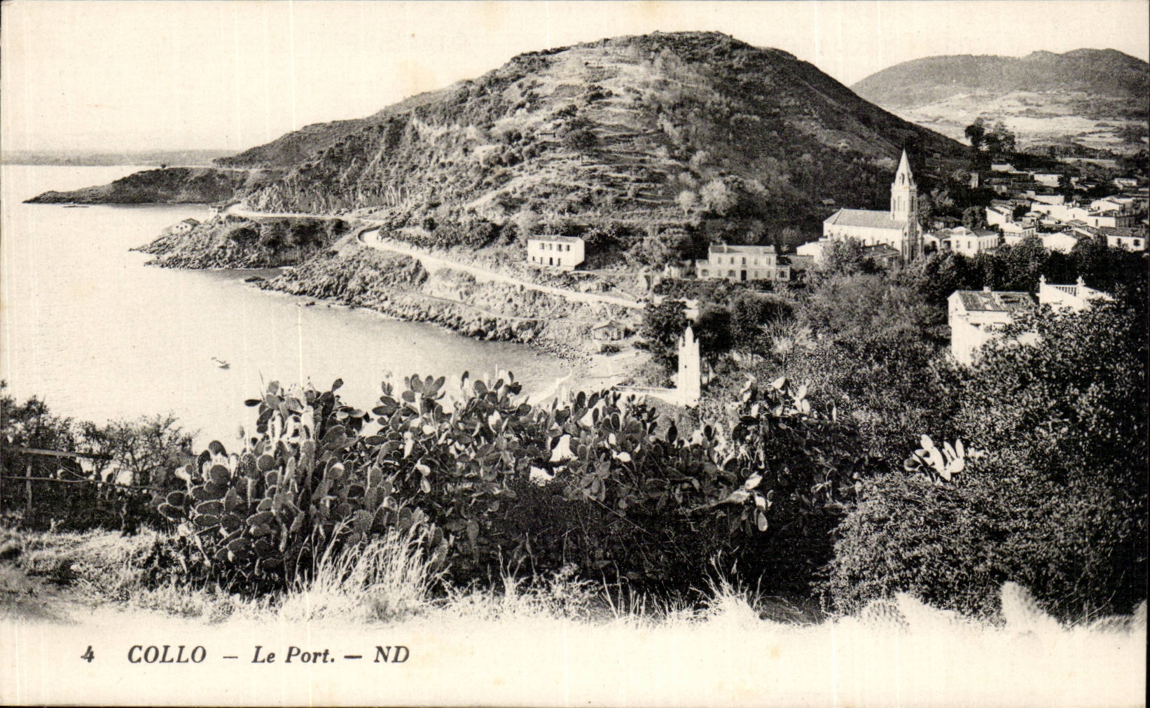 Afrique - Africa - Algerie - Algeria - Collo - Chullo - le Port - CPA 