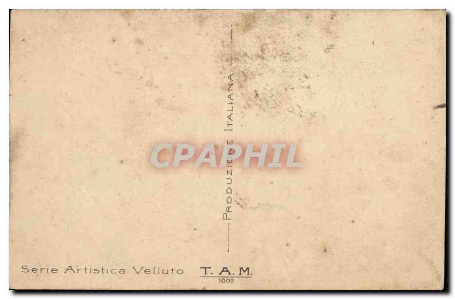 Pruniers — fruits sur branche — T.A.M. 1003 — Verso