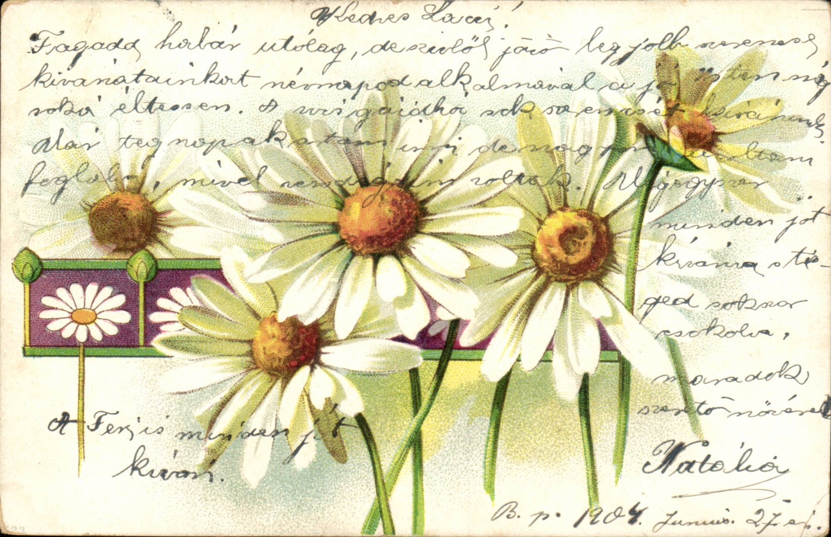 Fleurs - Flowers - daisies - - CPA (carte hongroise Hongrie Hungary)