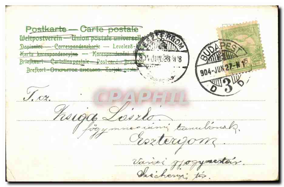 Fleurs - Flowers - daisies - - CPA (carte hongroise Hongrie Hungary) — Rückseite