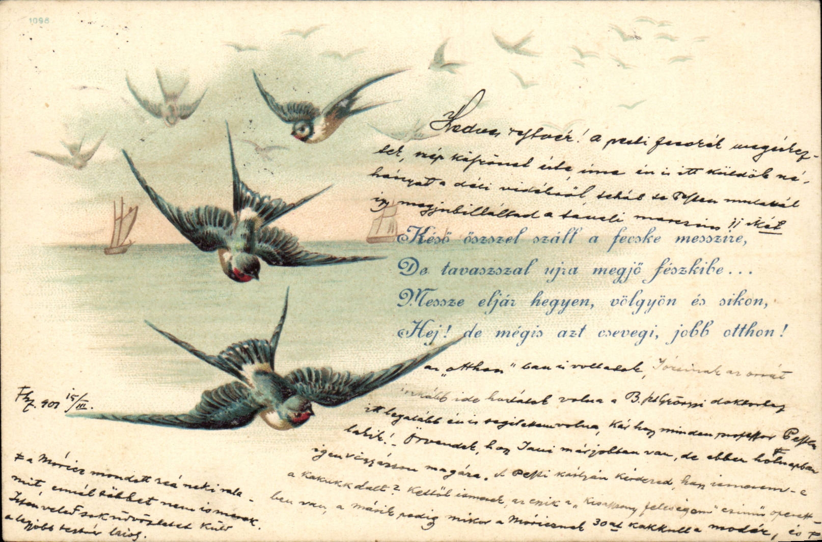 Animaux - Oiseaux - Sea Birds swirling around the ocean - CPA (carte hongroise Hungary Hongrie)
