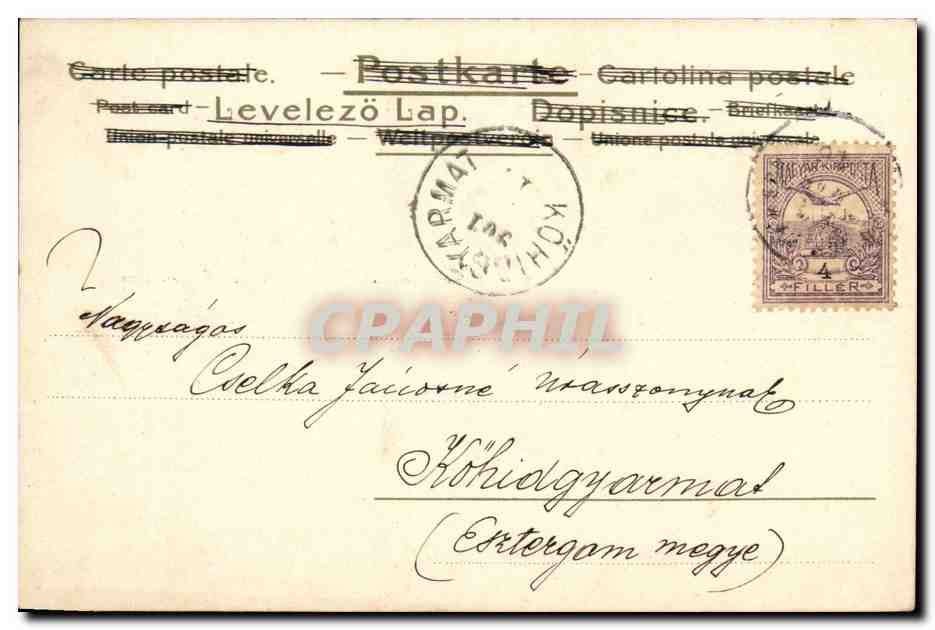 Animaux - Oiseaux - Sea Birds swirling around the ocean - CPA (carte hongroise Hungary Hongrie) — Rückseite