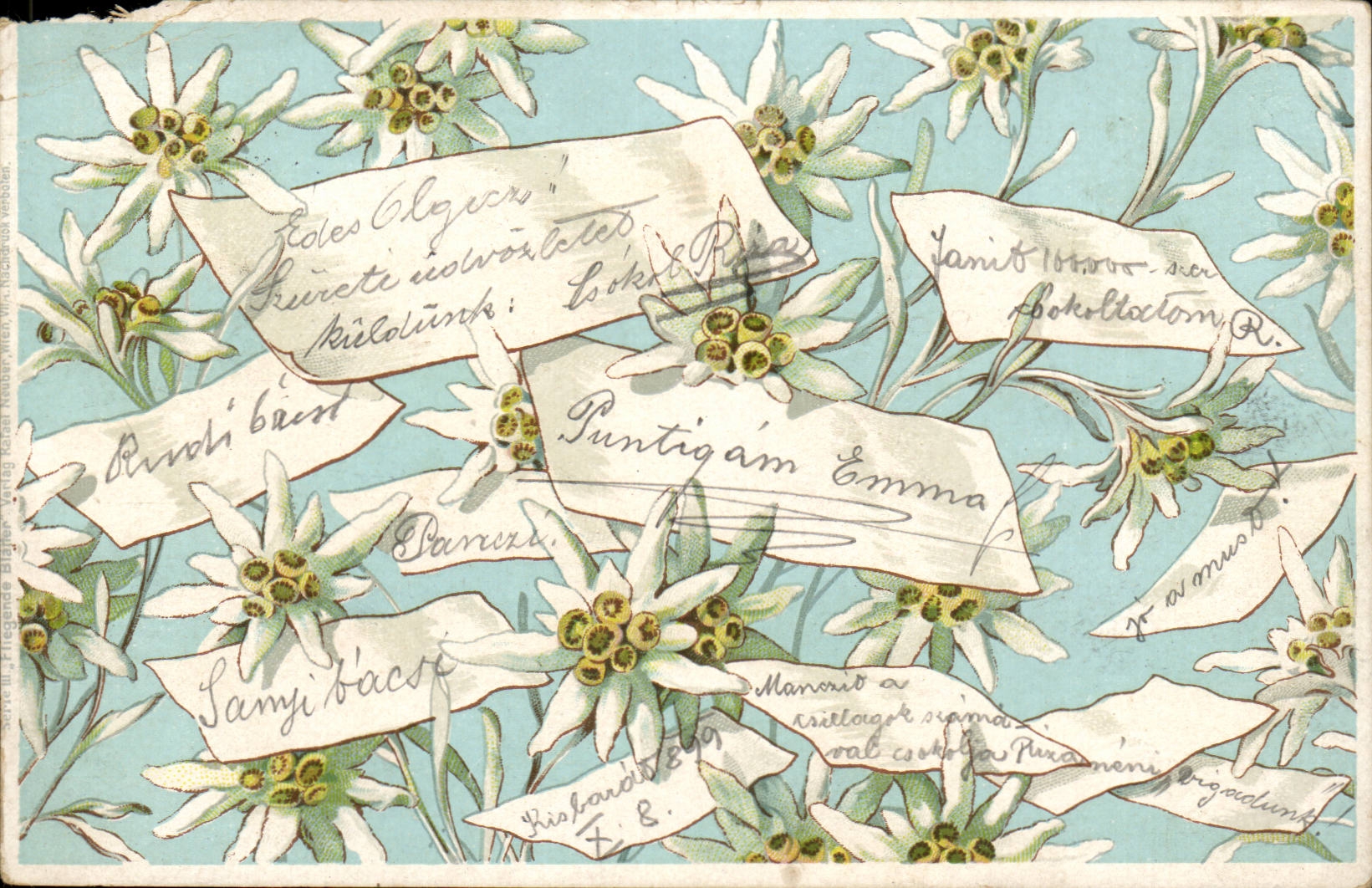 Fleurs - Flowers - and tiny messages - CPA (carte hongroise Hungary Hongrie)