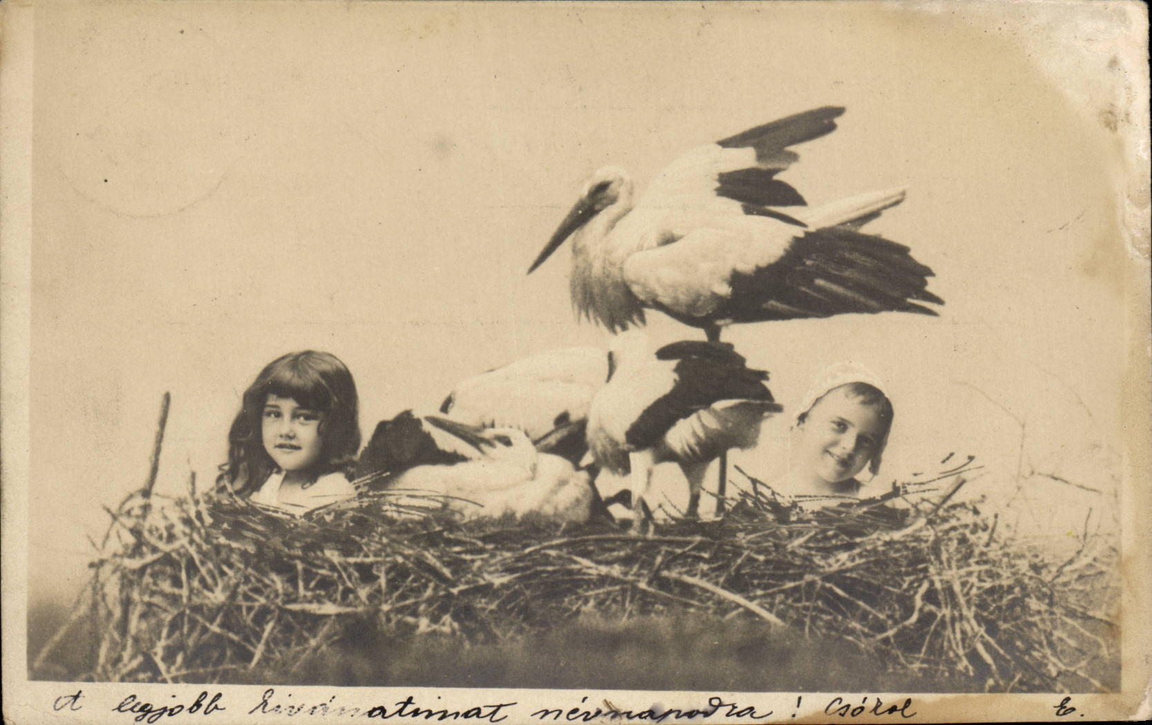 Fantaisie - Enfant - Cigogne - Nid - Large nest CPA (carte hongroise Hungary Hongrie)