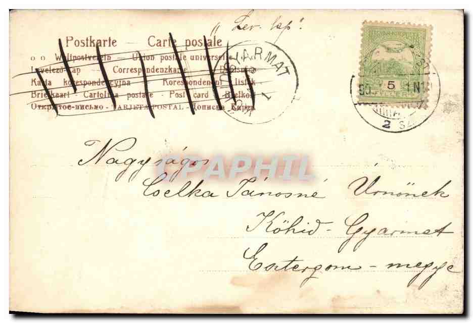 Arbre - Tree growing from babbling brook - CPA (carte hongroise Hungary Hongrie) — Rückseite