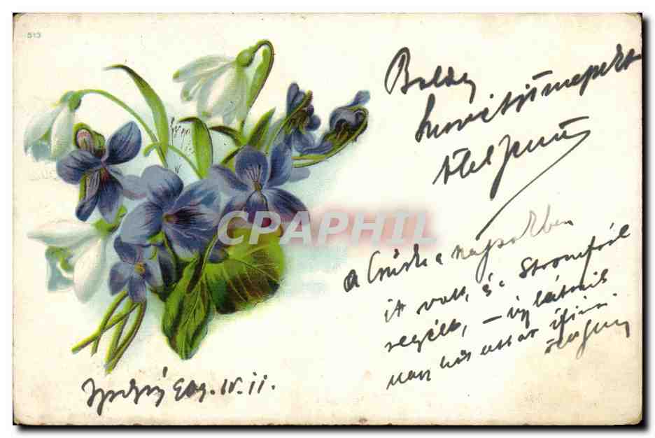 Fleur - Flower - Violet - Beautiful purple flowers - CPA (carte hongroise Hungary Hongrie)