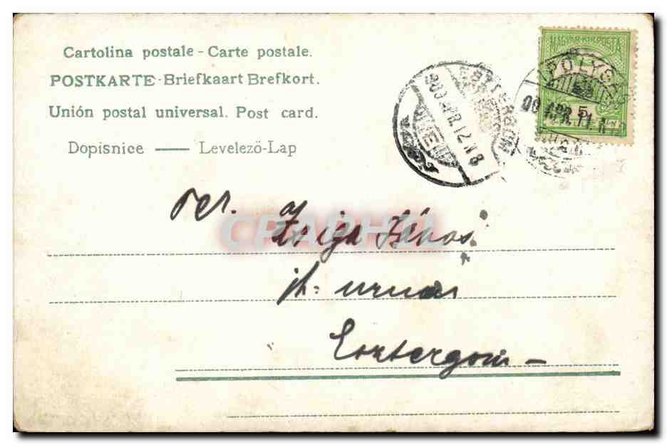 Fleur - Flower - Violet - Beautiful purple flowers - CPA (carte hongroise Hungary Hongrie) — Rückseite
