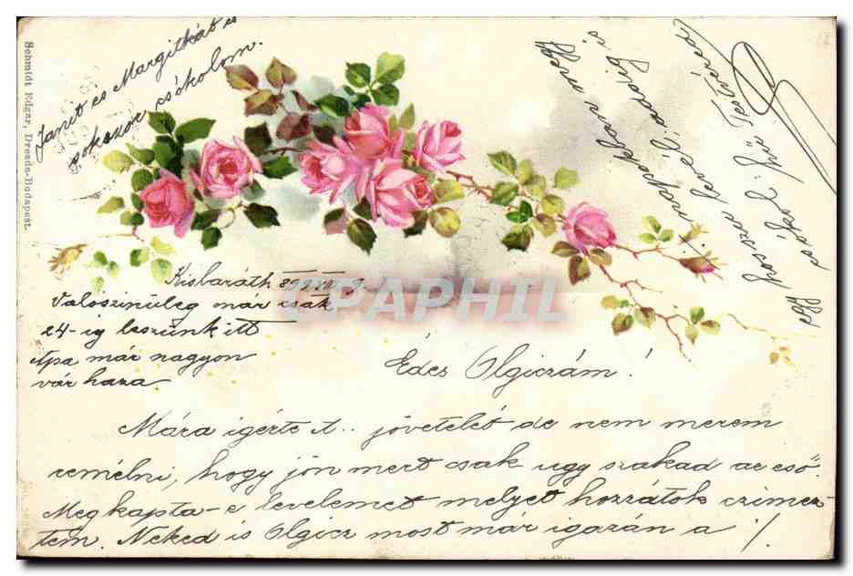 Fleur - Flower - Roses - CPA (carte hongroise Hungary Hongrie)