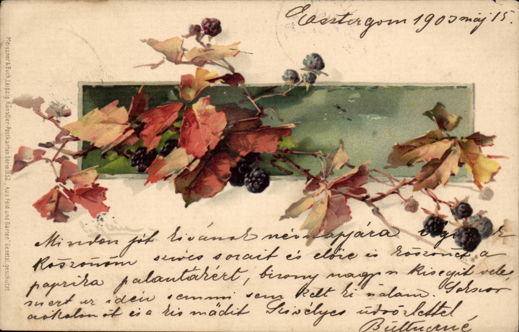 Fleur - Framboises - Rasberries - Fruit - CPA (carte hongroise Hungary Hongrie)